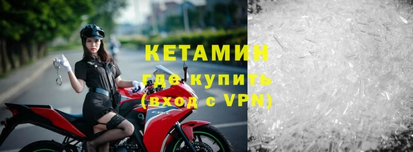 сатива Пересвет