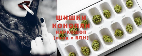spice Пестово