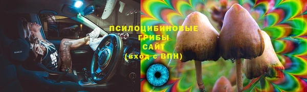 стафф Богданович