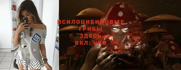 spice Пестово