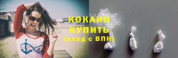 сатива Пересвет