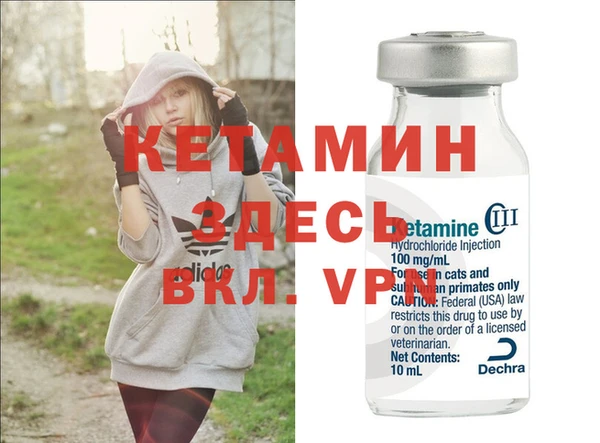 сатива Пересвет