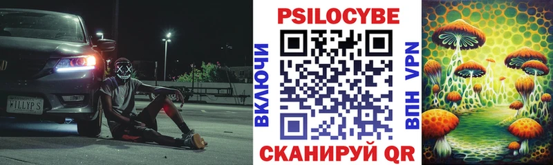 дарк нет официальный сайт  Благовещенск  Галлюциногенные грибы Psilocybine cubensis  где купить наркоту 