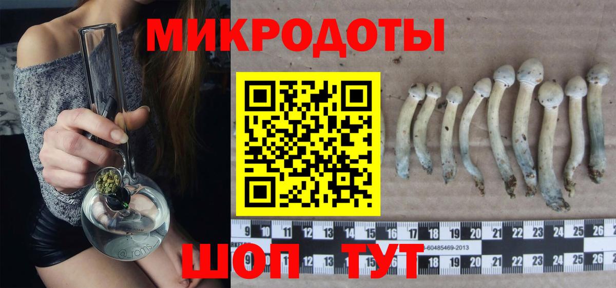 Галлюциногенные грибы MAGIC MUSHROOMS  Вход с VPN  Благовещенск 