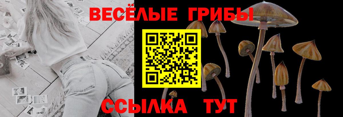 Псилоцибиновые грибы Cubensis Благовещенск